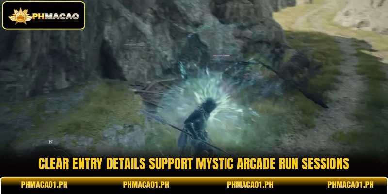 Clear entry details support Mystic Arcade Run sessions